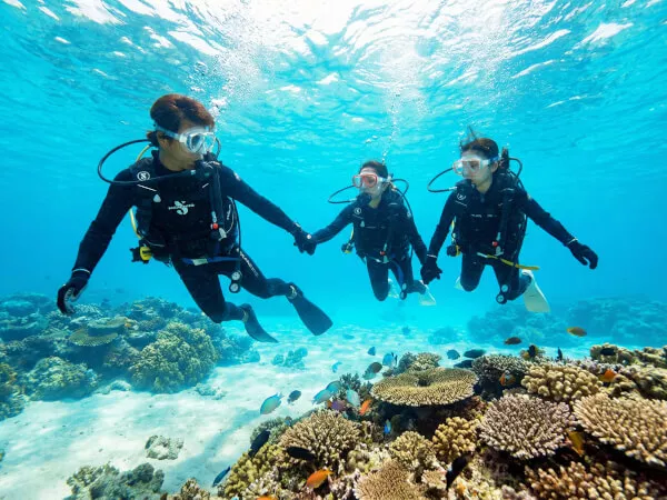 青の洞窟へ行く体験ダイビングボートコース