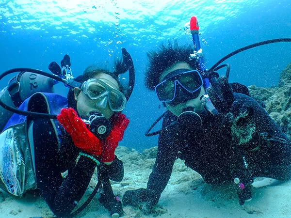 慶良間体験ダイビング|ディーズパルス沖縄