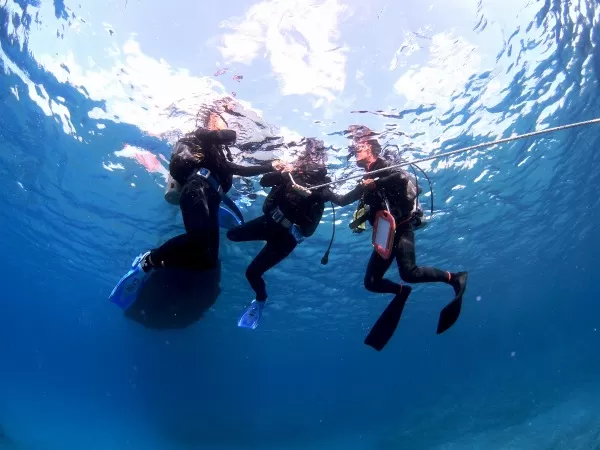 体験ダイビング