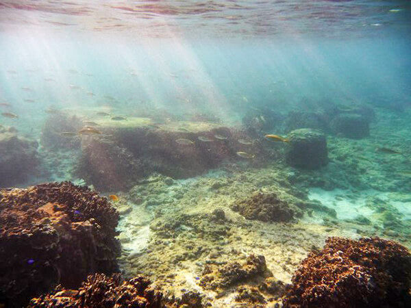 海の遊び処 なかゆくい　糸満シュノーケリング1