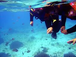 シュノーケリング