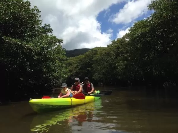 お子様も安心！マングローブカヌー♪