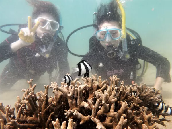 海の遊び処 なかゆくい　体験ダイビング3