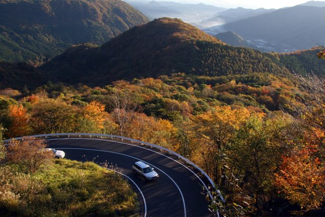 日光の紅葉パノラマ