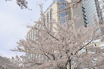 グランド ハイアット 東京