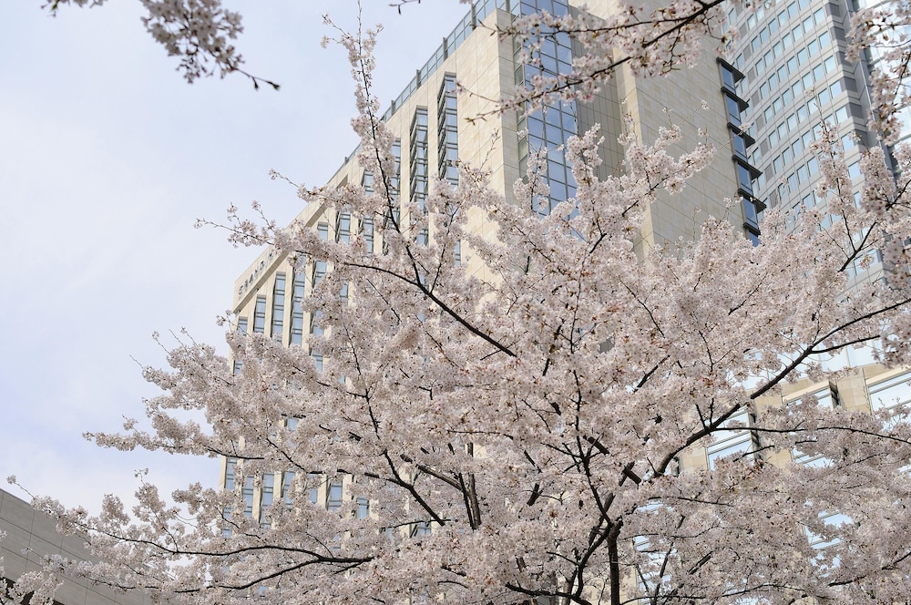 メイン イメージ1 | グランド ハイアット 東京