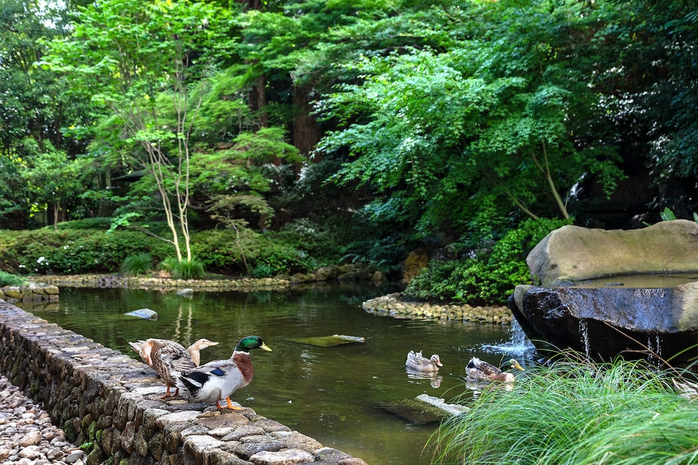 庭園1 | シェラトン都ホテル東京 庭園1 | シェラトン都ホテル東京