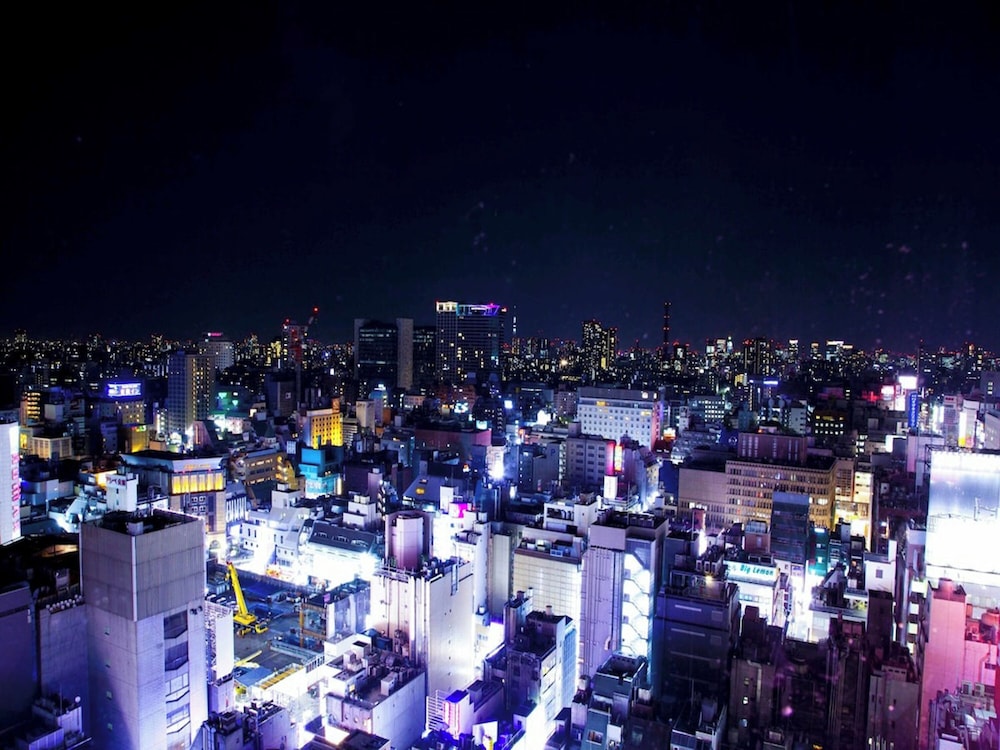 デラックスキングルーム（禁煙 / 30.6㎡） 部屋からの景観0 | 新宿プリンスホテル