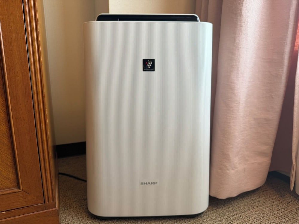 エグゼクティブダブル 禁煙 客室6 | ベルビューガーデンホテル 関西空港