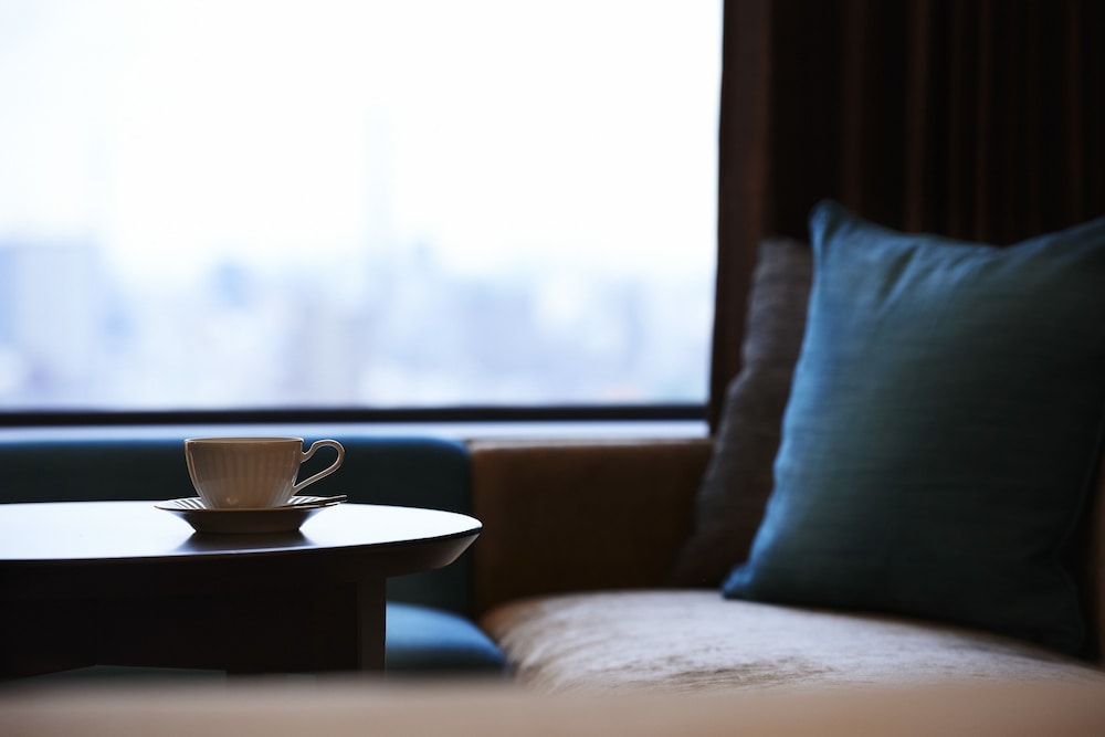 プラザリュクスダブル 禁煙 客室1 | 京王プラザホテル