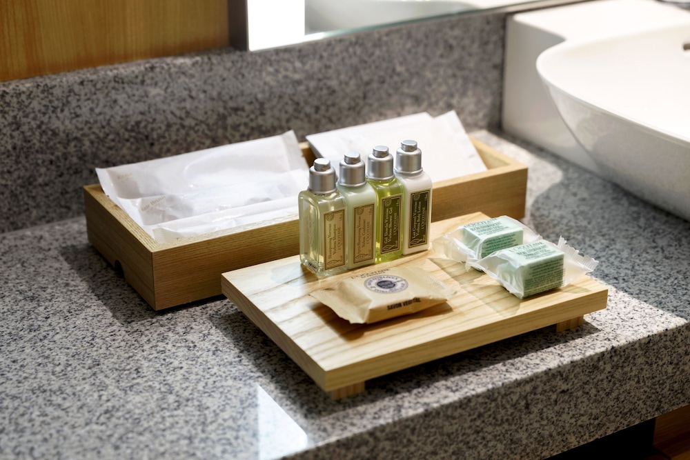 スタンダード プラス ダブル (禁煙) 客室の設備とサービス3 | 京王プラザホテル