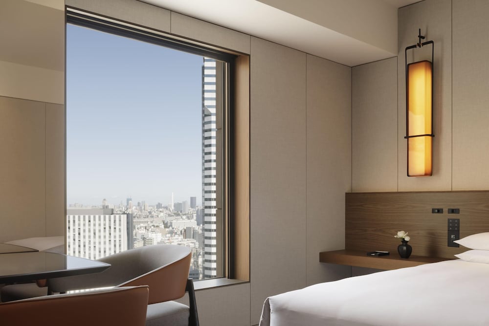 ルーム キングベッド 1 台 (High Floor) 部屋からの景観0 | ハイアット リージェンシー 東京