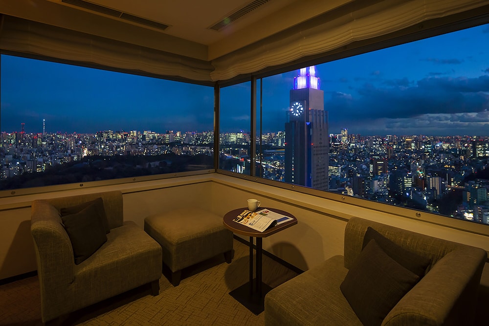 パノラミックキングルーム (禁煙) キングベッド1台 部屋からの景観1 | 小田急ホテルセンチュリーサザンタワー