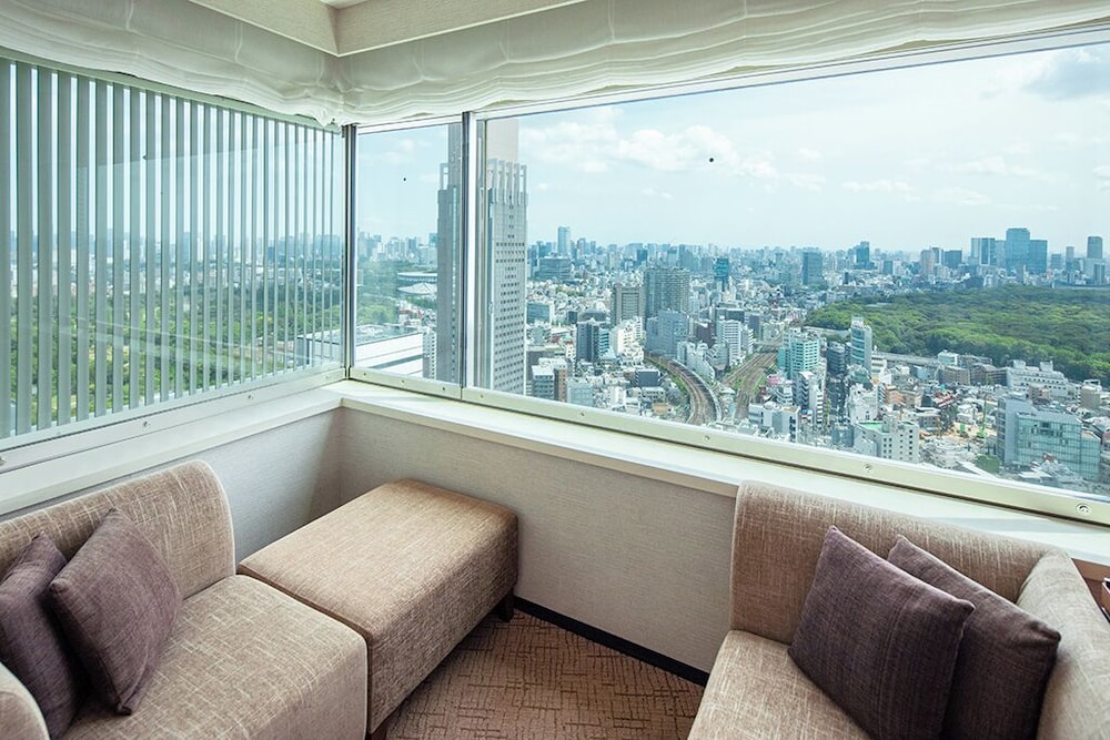 パノラミックキングルーム (禁煙) キングベッド1台 部屋からの景観4 | 小田急ホテルセンチュリーサザンタワー