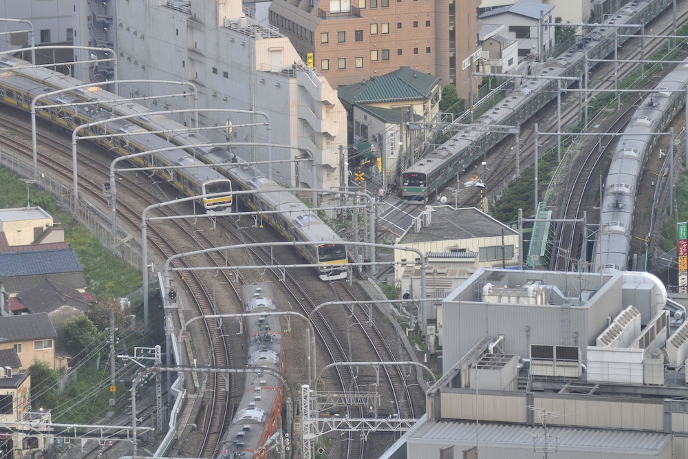 パノラミックキングルーム (禁煙) キングベッド1台 部屋からの景観0 | 小田急ホテルセンチュリーサザンタワー