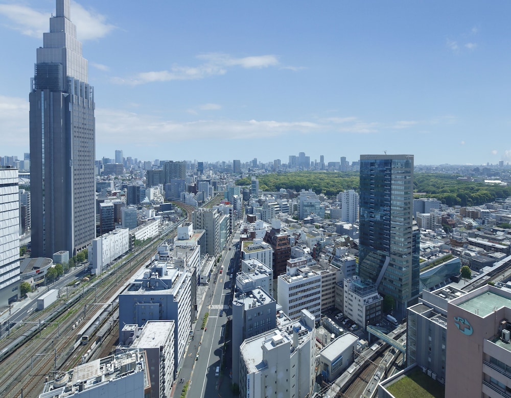 パノラミックキングルーム (禁煙) キングベッド1台 部屋からの景観3 | 小田急ホテルセンチュリーサザンタワー