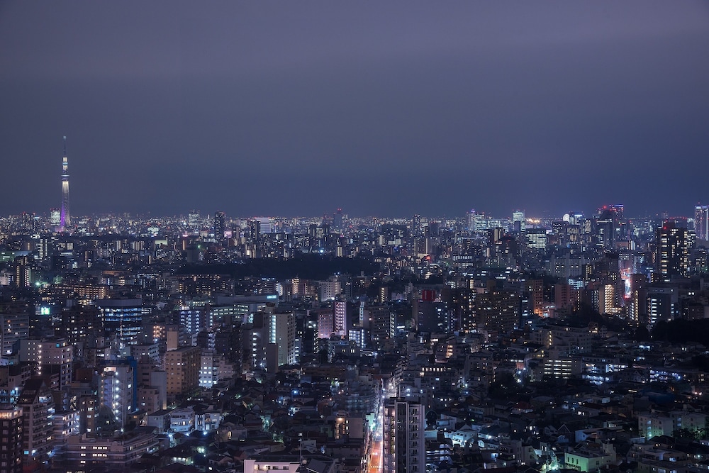 10th-24th デラックスツインルーム 禁煙 シティ ビュー0 | サンシャインシティプリンスホテル