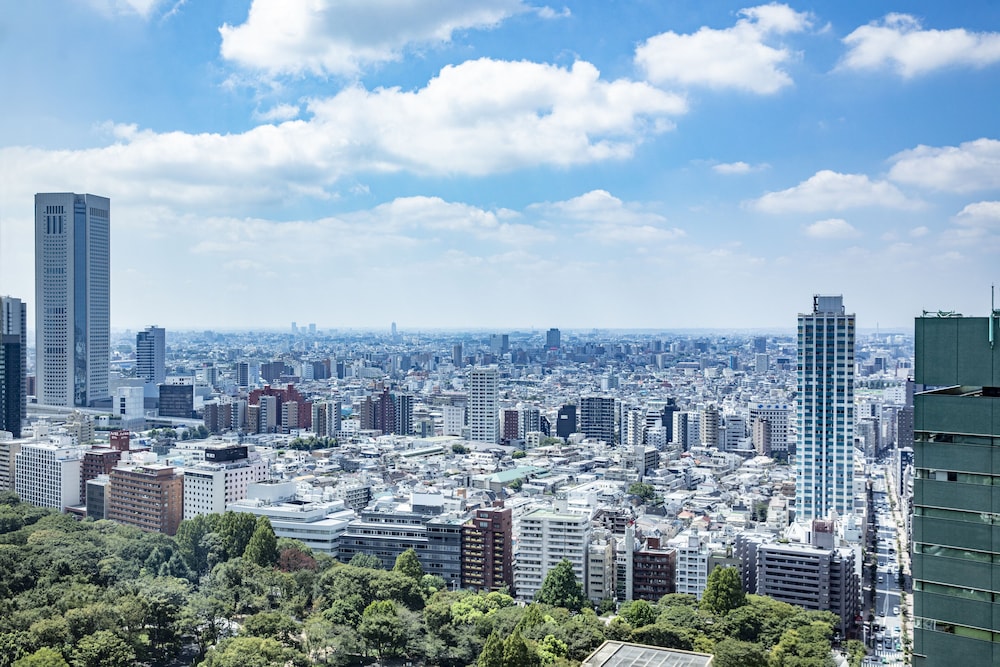 デラックス ツイン 部屋からの景観0 | ヒルトン東京