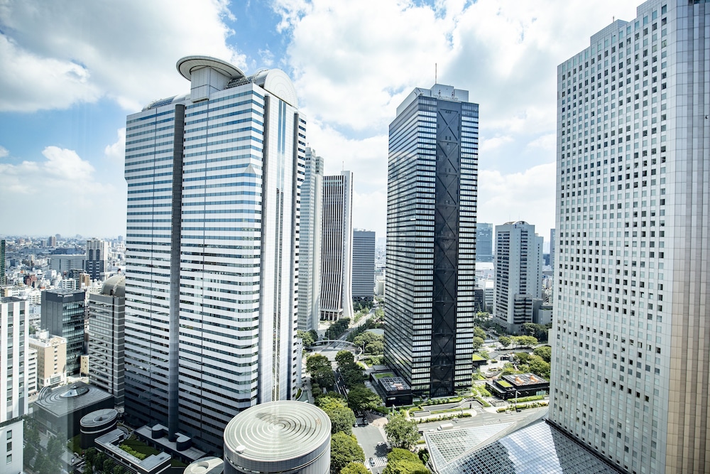 デラックス キング 部屋からの景観0 | ヒルトン東京