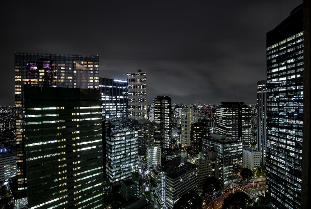 デラックス キング 部屋からの景観2 | ヒルトン東京