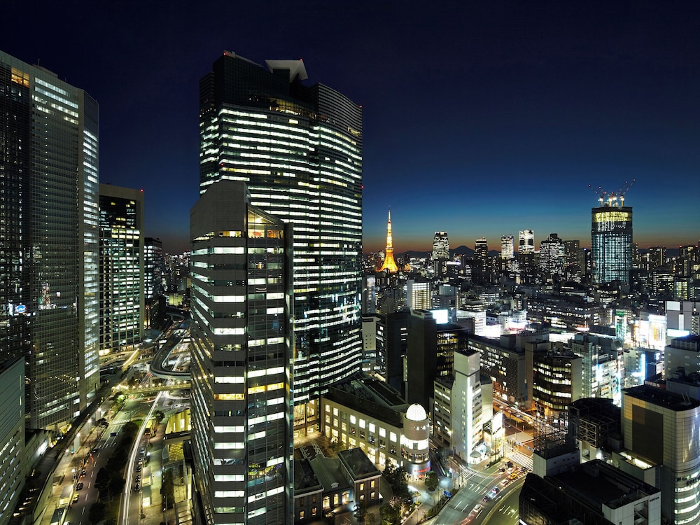 スーペリアビューバスクイーン 東京タワービュー (喫煙可) 部屋からの景観0 | 三井ガーデンホテル銀座プレミア