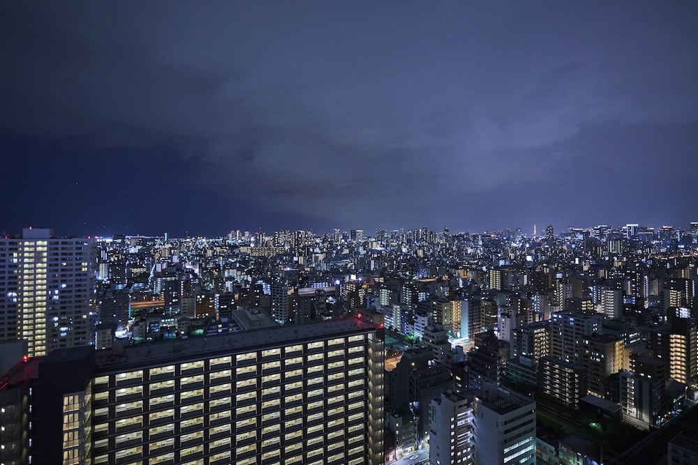 スイート 禁煙 (Levant Suite, No Tower View) 部屋からの景観0 | 東武ホテルレバント東京