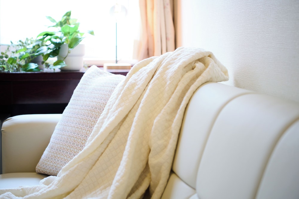 ãã€ã³ã«ãŒã çŠç
客宀4 | ããã«ç¿SAPPORO