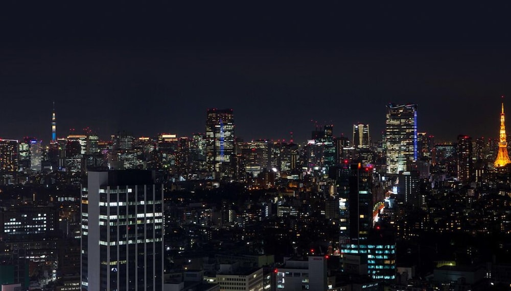 デラックスコーナースイート 禁煙 (ラウンジアクセス付き) 部屋からの景観0 | セルリアンタワー東急ホテル