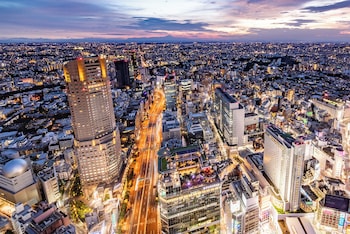 セルリアンタワー東急ホテル