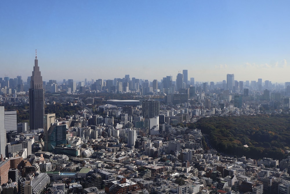 デラックス ルーム ダブルベッド 2 台 シティ ビュー0 | パークハイアット東京