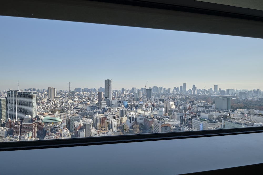 最上階 (ゴジラフロア) ツインルーム 禁煙 部屋からの景観0 | ホテルグレイスリー新宿