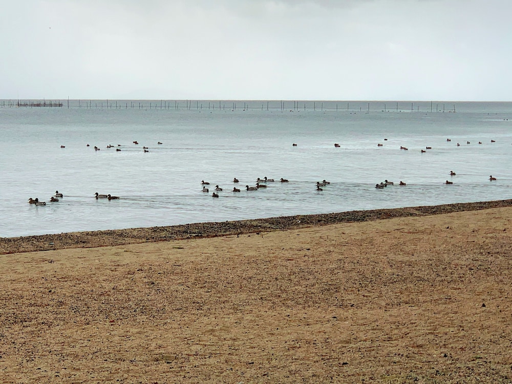 [禁煙] ファミリー ツインルーム レイク ビュー0 | 奥琵琶湖マキノグランドパークホテル