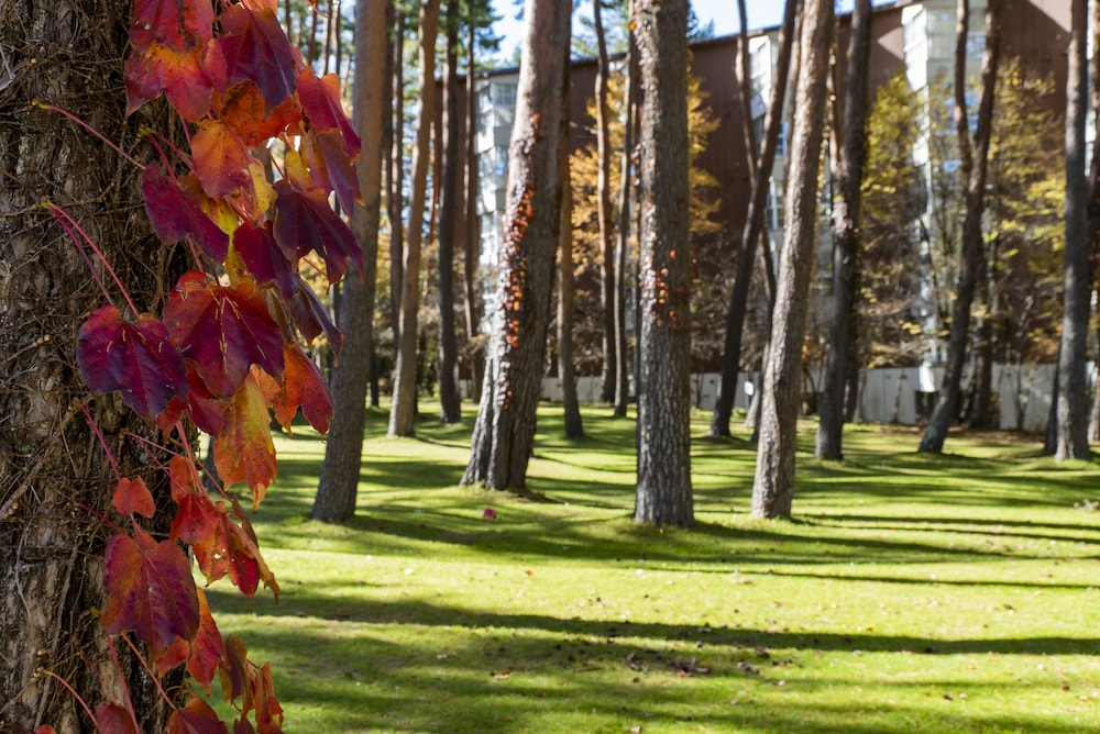 ファミリールーム禁煙 ペット不可 部屋からの景観0 | フジプレミアムリゾート