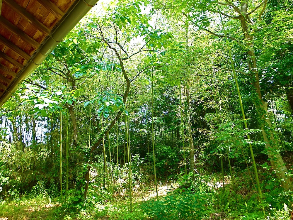 ファミリー 4 人部屋 客室4 | 古民家シェアハウス風樹