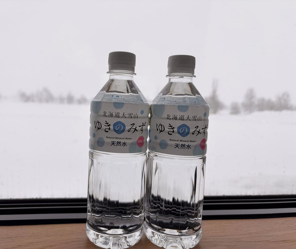 ベーシック ツインルーム ベッド (複数台) マウンテンビュー 客室2 | スパ & ホテルリゾート ふらのラテール