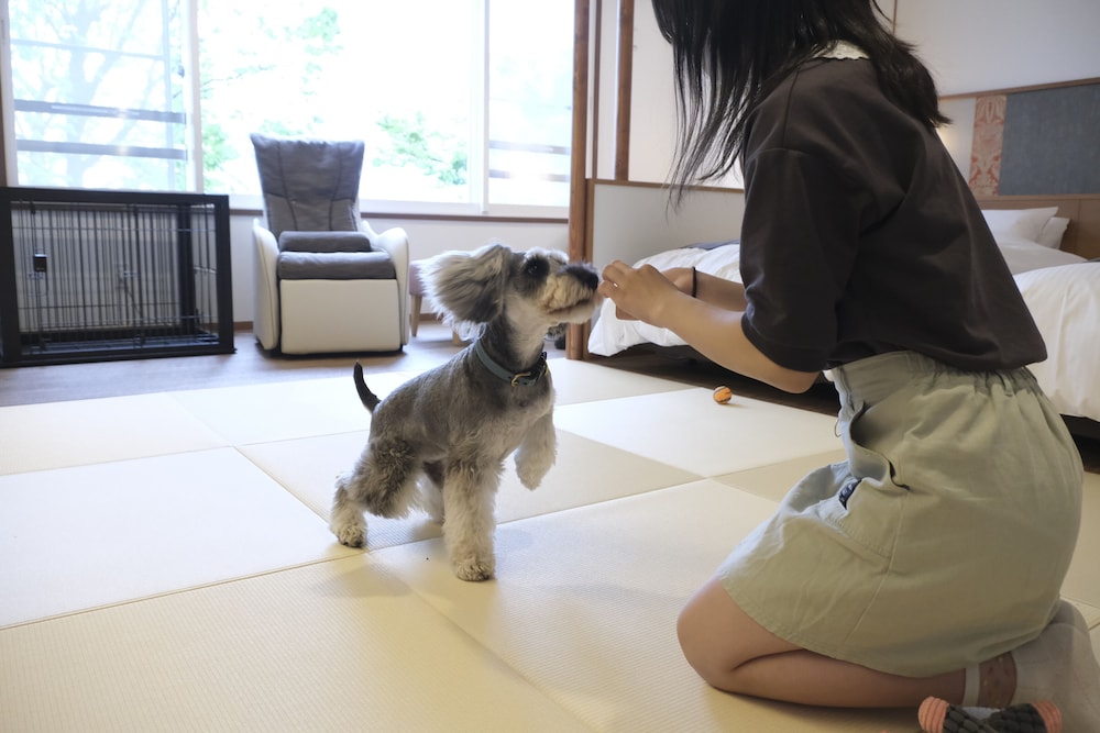 ワンちゃんルーム 和洋特別室 61m² (川側/禁煙) 客室の設備とサービス1 | 観月苑