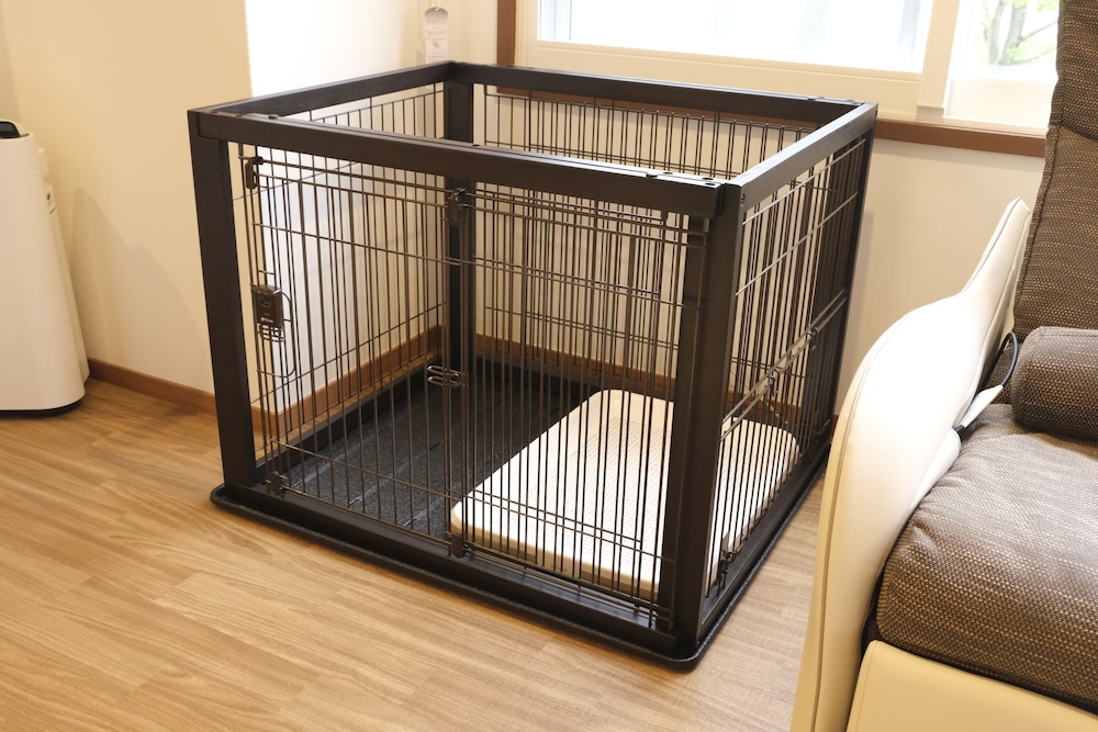 ワンちゃんルーム 和洋特別室 61m² (川側/禁煙) 客室2 | 観月苑