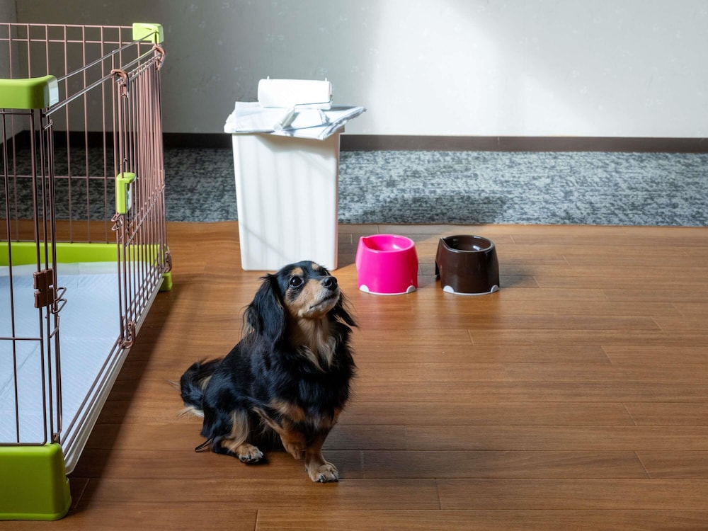 クラシック ルーム シングルベッド 2 台 (Dog friendly) 客室4 | メルキュール宮城蔵王リゾート & スパ