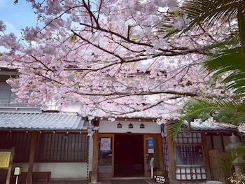 坂聖・玉樟園