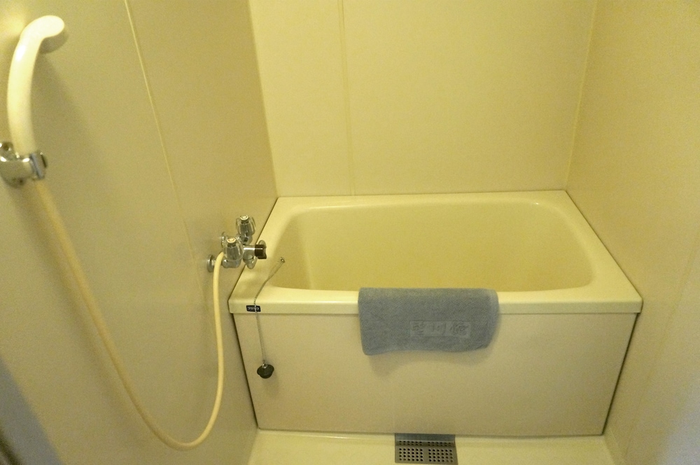 和洋室 山側 『六花選』 素泊まり バスルーム0 | 下呂温泉 望川館