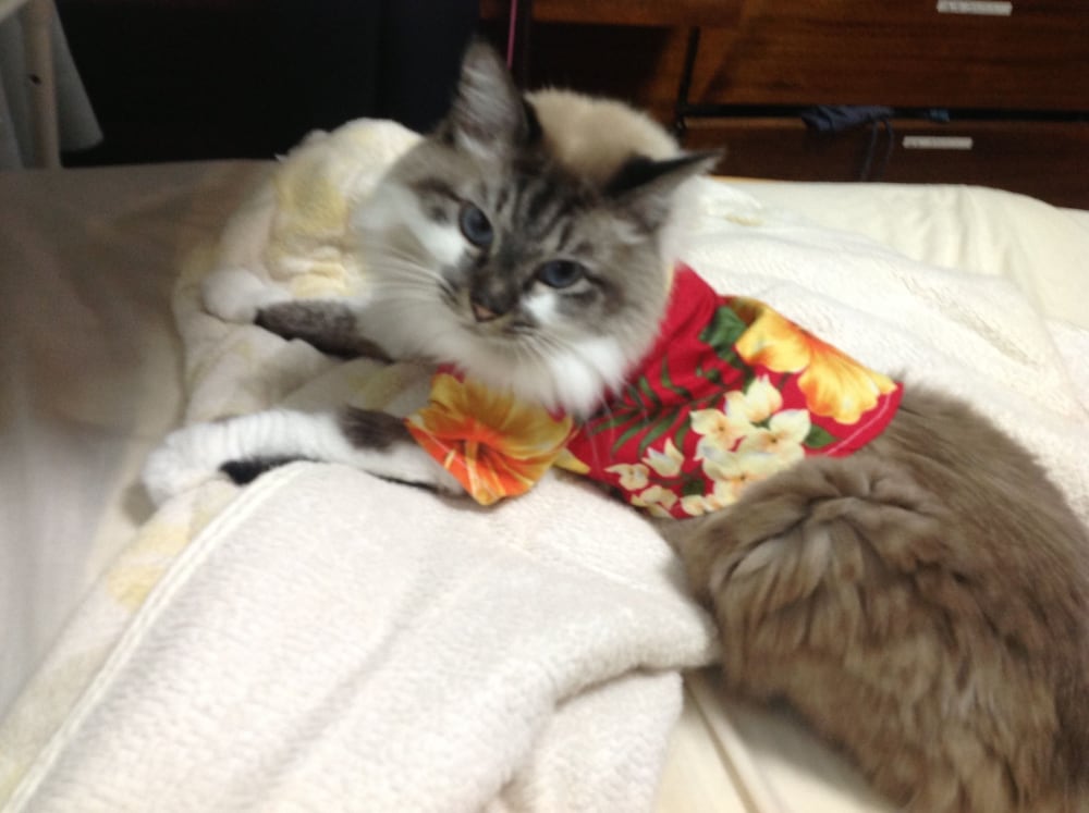 施設内の設備1 | 女性専用癒やしの宿 みるく家 - 女性専用