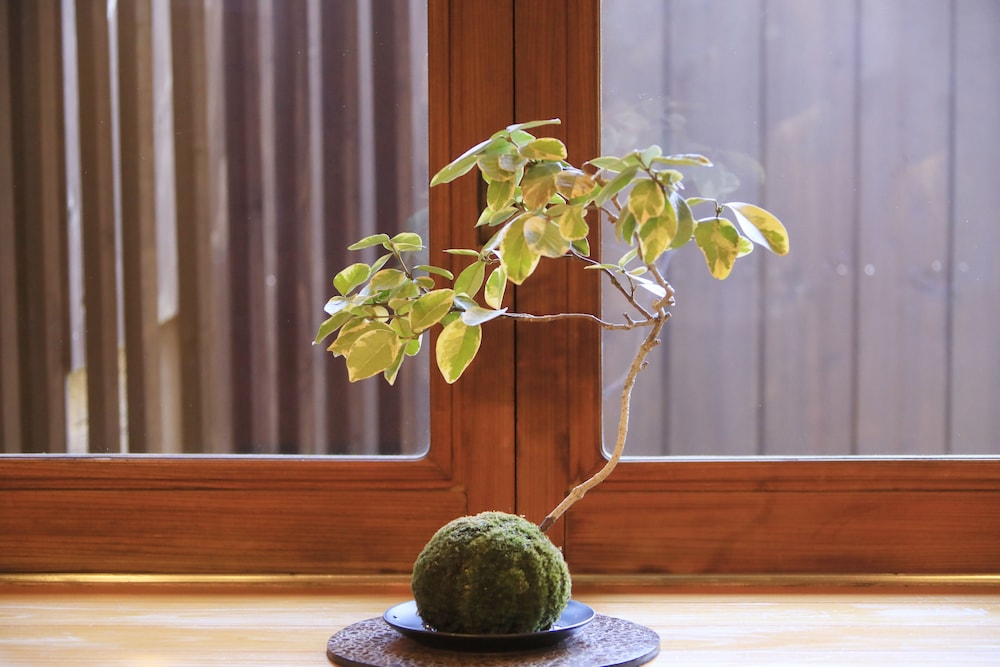 プレミア スイート 禁煙 客室6 | 河口湖 温泉寺 夢殿