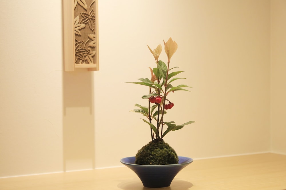 露天風呂付和室 デラックスダブル 禁煙 客室9 | 河口湖 温泉寺 夢殿