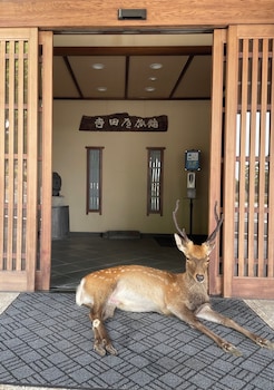 さるさわ池 よしだや
