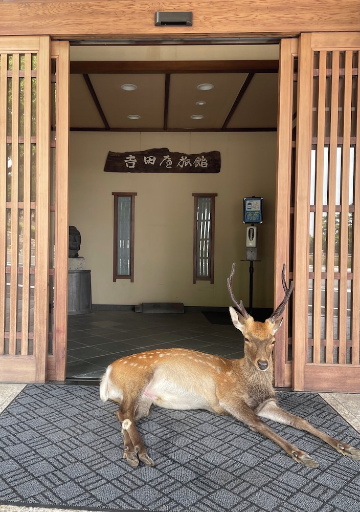 メインイメージ | さるさわ池 よしだや