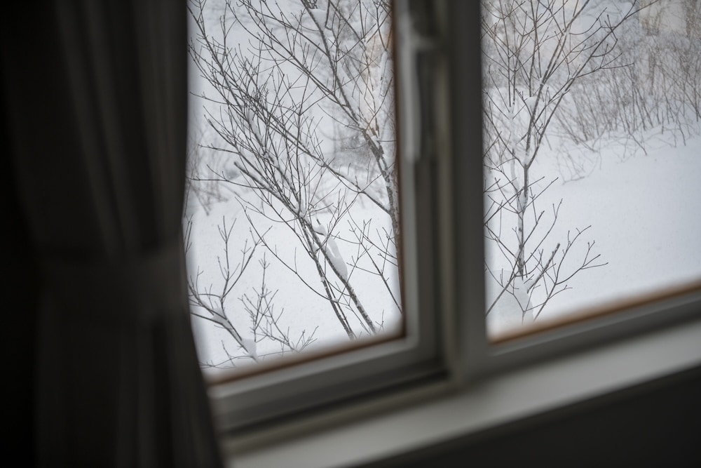 ラグジュアリー ヴィラ リビング エリア26 | LOVES ONLY YOU【Ezo Fuji Foothills】