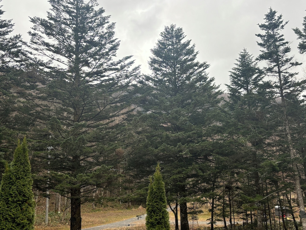 ベーシック ツインルーム 部屋からの景観0 | ペンションアルマ