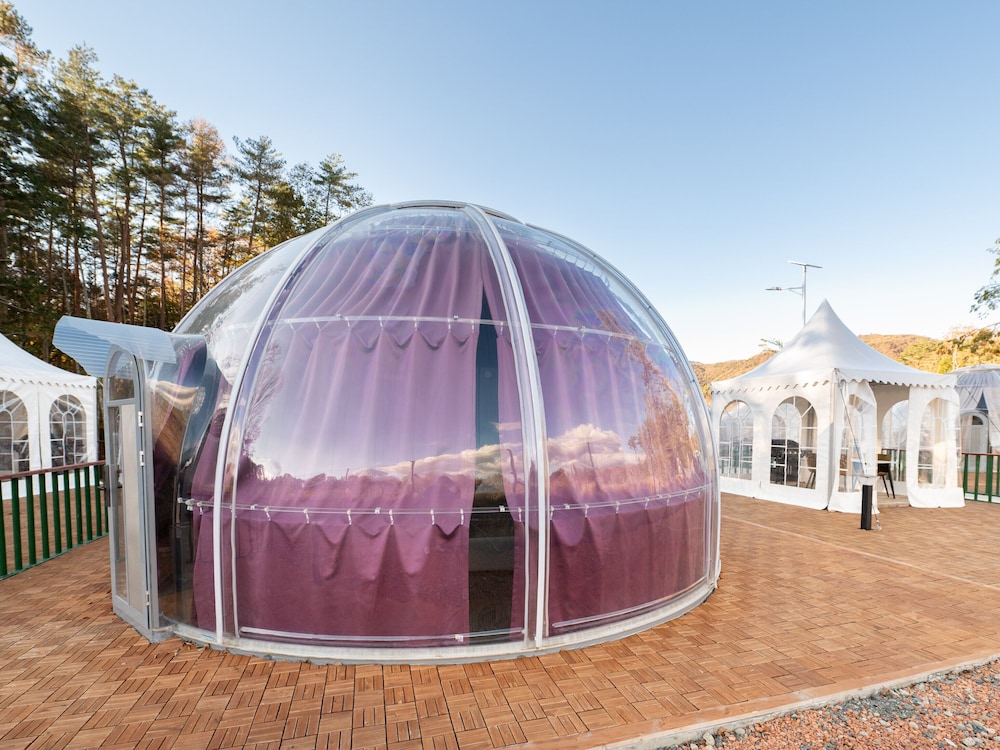 ヴィレッジドーム キングサイズ[1ベッド] 客室2 | 富士星空の村 Tabist