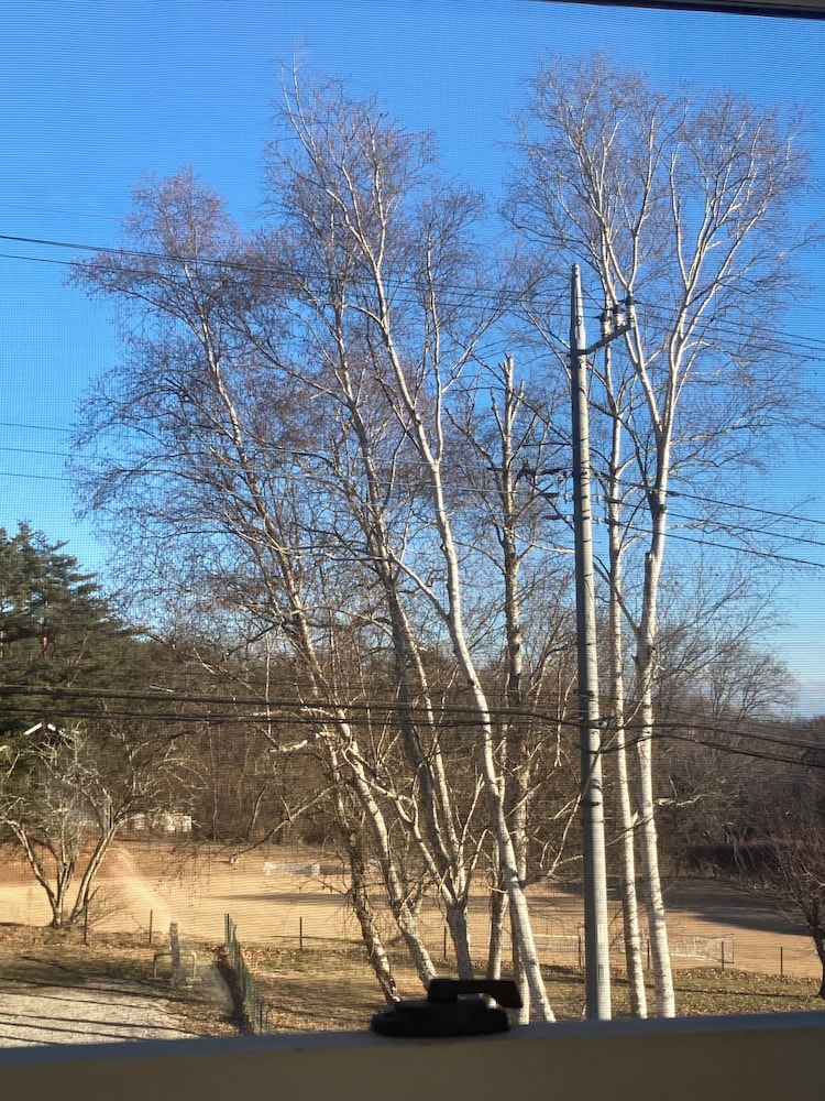 デラックス トリプルルーム 共用バスルーム マウンテンビュー 客室2 | Lodge Kent