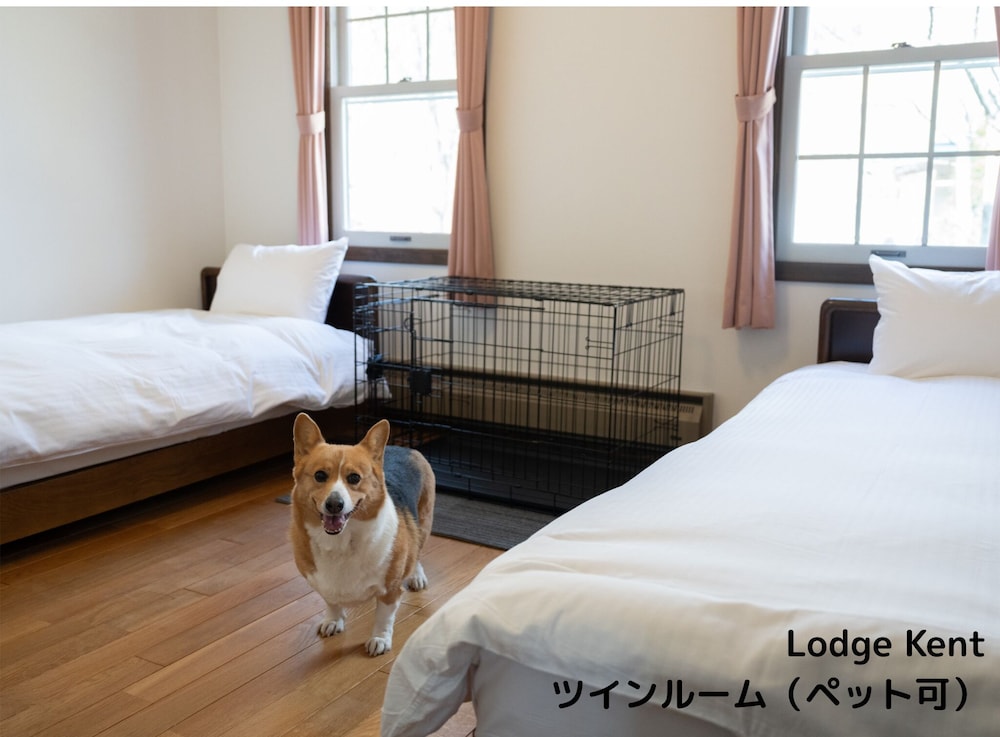 スーペリア ツインルーム 客室4 | Lodge Kent